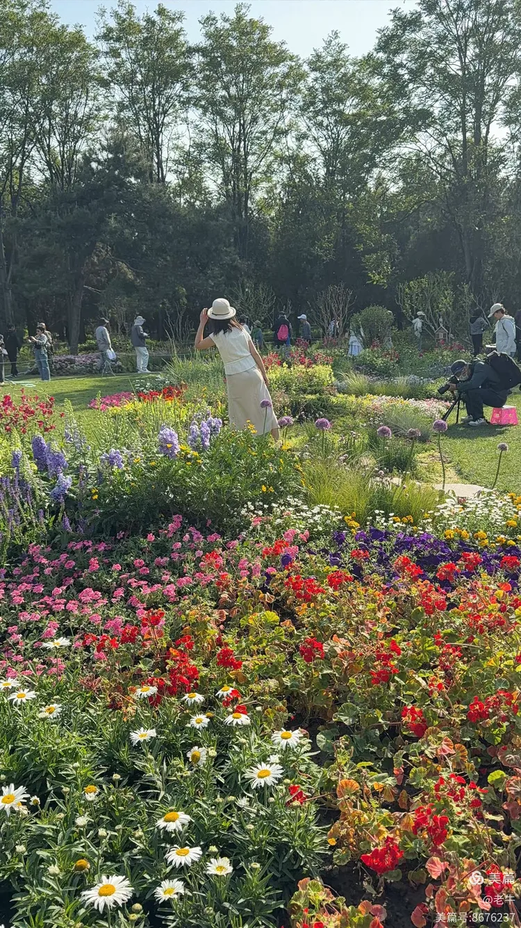 天坛百花园:五一的繁花之约